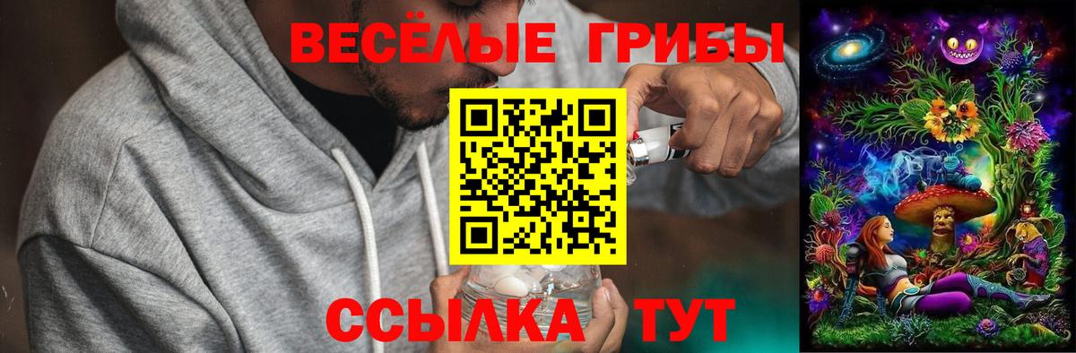 Заводоуковск  Галлюциногенные грибы Psilocybine cubensis  наркошоп  Вход с VPN 